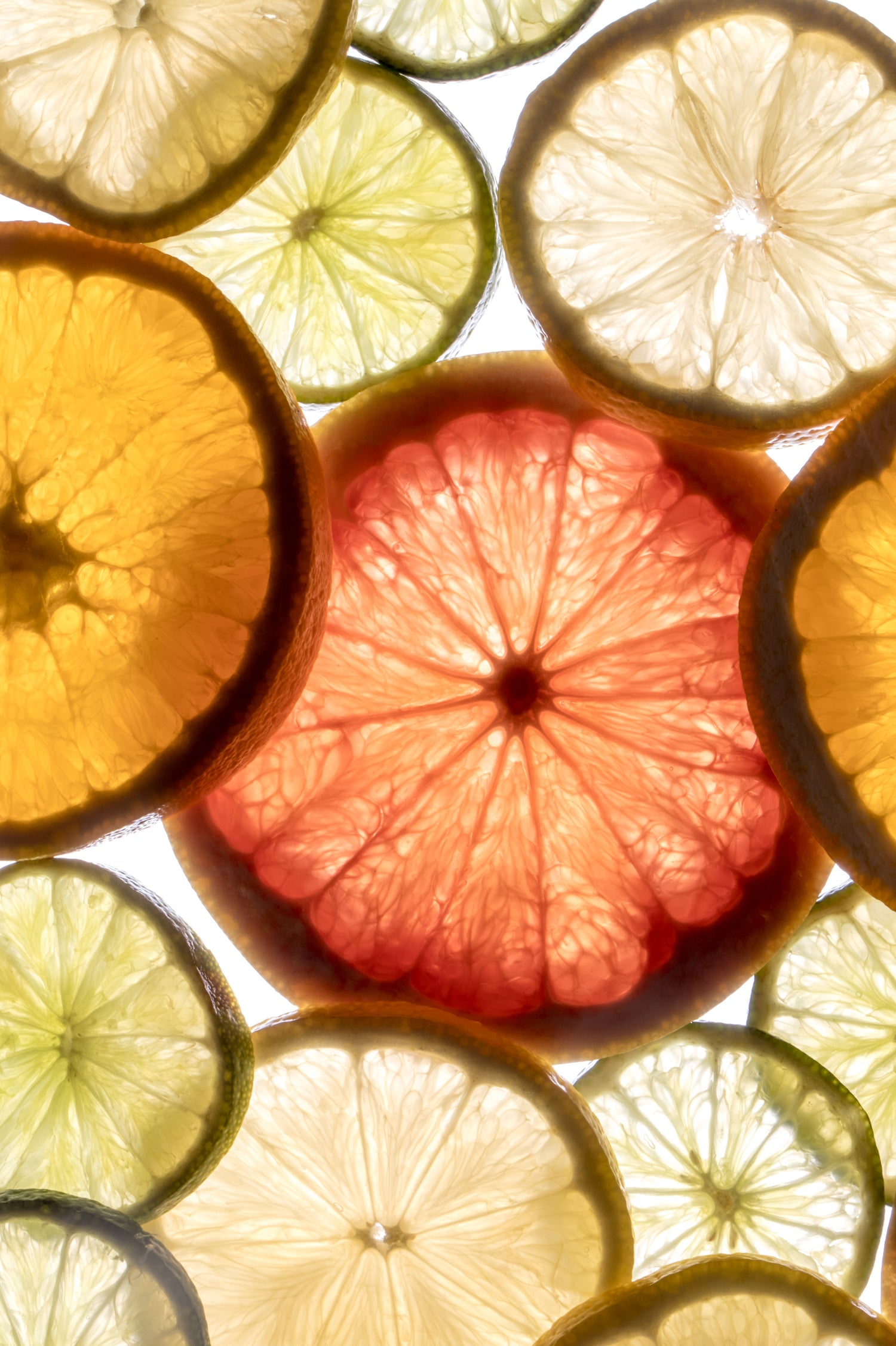 bright-light-through-citrus-slices