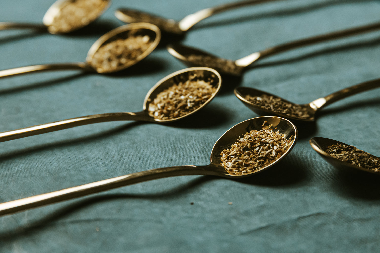 spoons-lined-up-holding-loose-leaf-tea