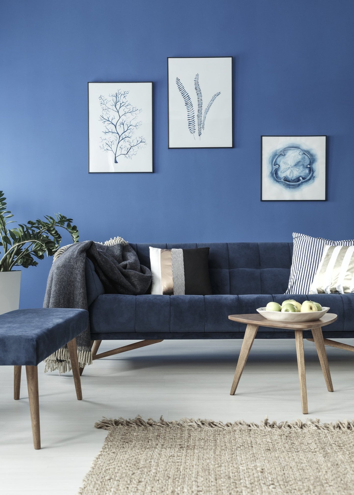 Modern blue-themed living room with minimalist decor, perfect setting for using Utopia Room Spray to create a harmonious and inviting atmosphere.